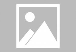 中转盘最新爆料甜蜜草莓,中转盘最新爆料揭秘浪漫爱情故事